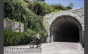 بوستان نهج البلاغه 13