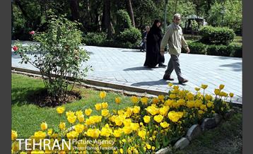 لاله های بهاری پارک شهر 22