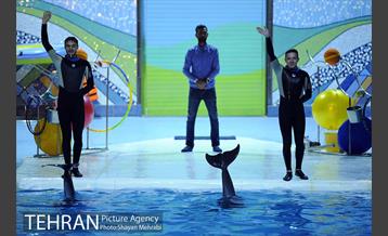 دلفیناریوم برج میلاد 27