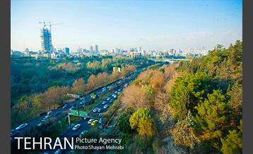 پاییز پل طبیعت 18