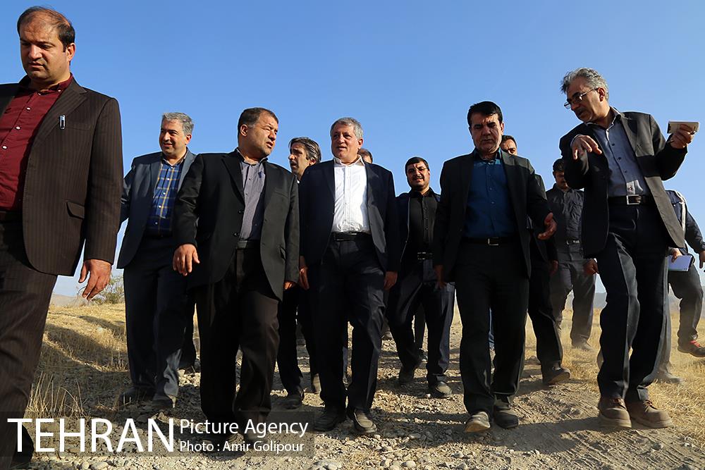 بازدید رئیس شورای شهر تهران از بوستان جنگلی چیتگر 10