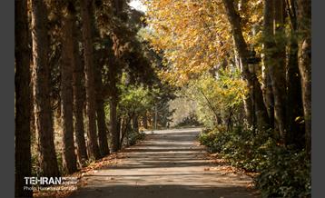 آخرین روزهای پاییزی  16