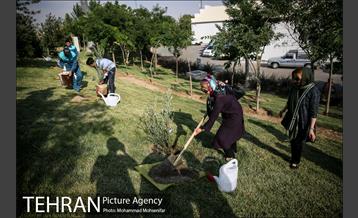 آئین درخت کاری به مناسبت تولد گاندی 23