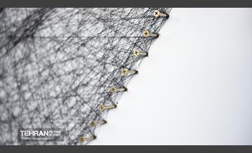 رونمایی از بزرگترین نخ نگاره جهان  12