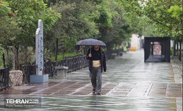 بارش باران بهاری در تهران - 1 16