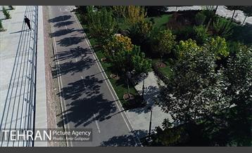 گذرفرهنگی تاراز 15