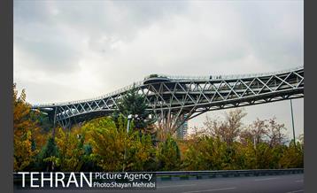 پاییز پل طبیعت 8