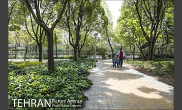 بوستان آزادگان 32