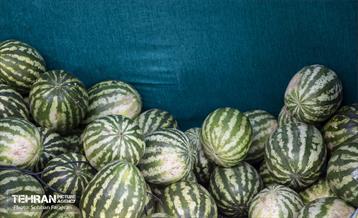 مواکب نذورات 11