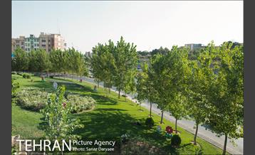 خیابان دماوند 41