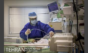 جان تو و جان شهر 13