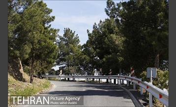 بوستان جنگلی کوهسار 6