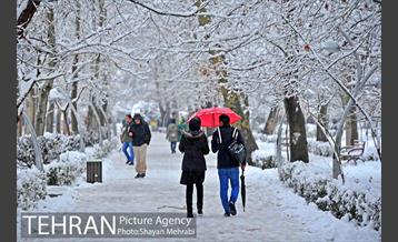 روز برفی در پارک لاله 5