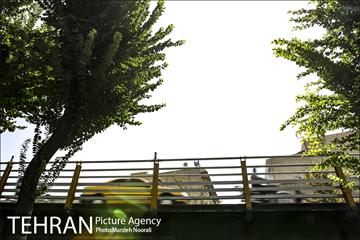 پل‌های تهران؛ پل چوبی 9
