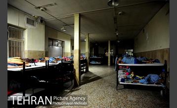 گرمخانه ها 8