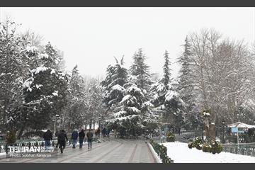 عصر زمستانی تهران 19