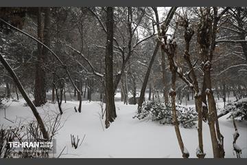 روز برفی تهران - 2 23