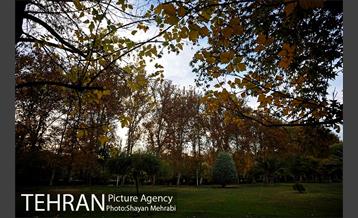 طبیعت پاییزی بوستان لاله 25