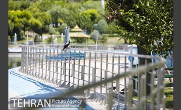 بوستان المهدی 4