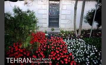 پیاده راه لاله مادران 29