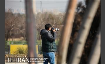 تور عکاسی بزرگراه شهید نجفی رستگار 16