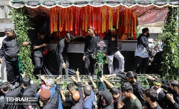 تشییع پیکر شهید اسماعیل هنیه در تهران - 2 9