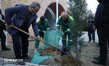 جشن درختکاری در منطقه 18 7