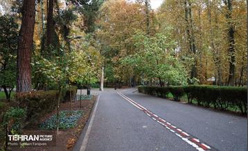 طبیعت پاییزی مجموعه فرهنگی تاریخی سعدآباد  14