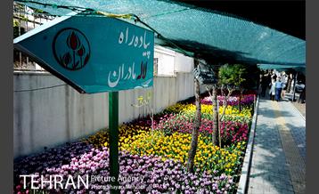 پیاده راه لاله مادران 38