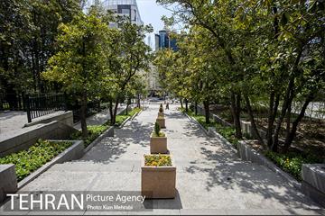 بوستان نیاوران 5