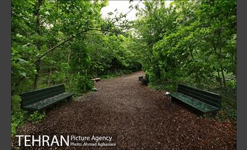 باغ گیاه‌شناسی ملی ایران 15