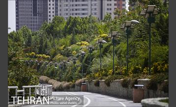 بوستان جوانمردان 12