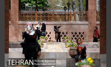 رویش گل های لاله در باغ ایرانی 20