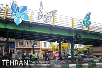 بارش باران پاییزی در تهران 11