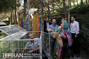 افتتاح اولین "باغچه خبر" در تهران 4