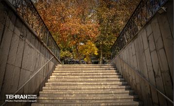 گذرگاه های پاییزی پایتخت - باغ فردوس  6