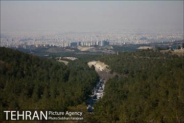 روز طبیعت در بوستان جنگلی یاس 13