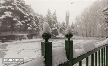 روایت مه‌و‌برف در بوستان سنگی تهران  17