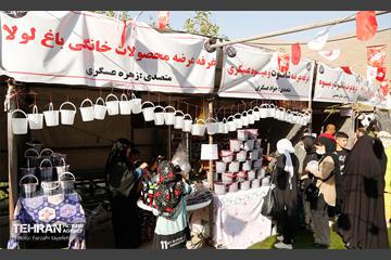 سومین جشنواره شاه توت