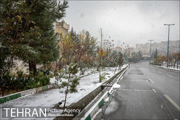 بارش نخستین برف پاییزی در تهران 16