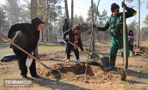 آیین یلدای مهربانی و کاشت نهال در بوستان سرخه حصار 30