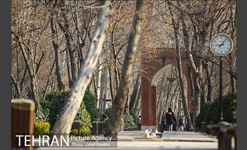 باغ ایرانی 21