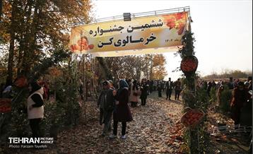 ششمین جشنواره خرمالو 20