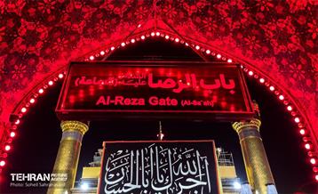 حرم مطهر امام علی (ع) در آستانه اربعین حسینی 3