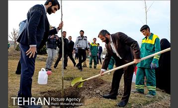 روز درختکاری در گنبد مینا 7