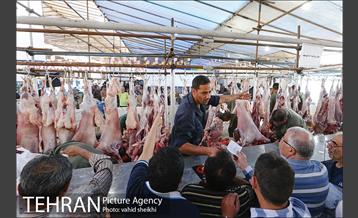 عرضه بهداشتی دام در جایگاه منطقه 2 شهرداری تهران  7