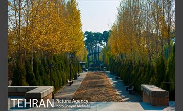 پاییز باغ موزه قصر 27