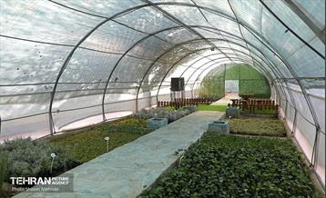 افتتاح پروژه‌های منطقه ۱۴ 25