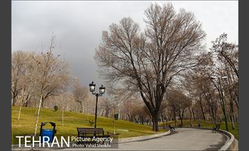 پارک ملت در یک روز زمستانی 1