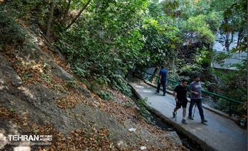 شهرنگار؛ درکه 38